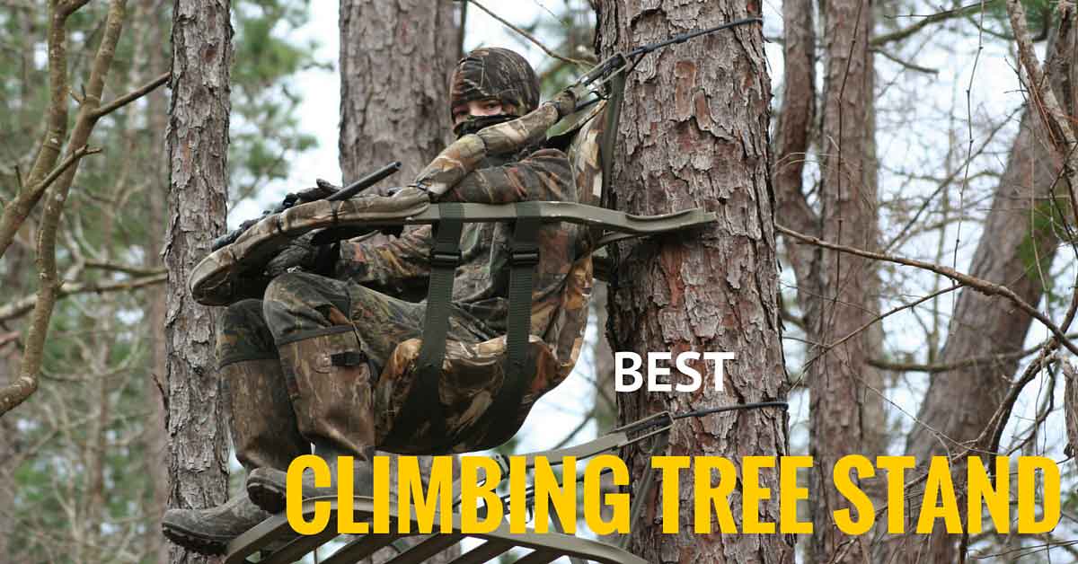Best Climbing Tree Stand