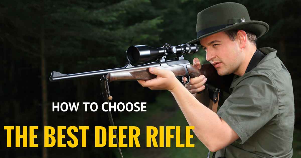 How to Choose Best Deer Rifle