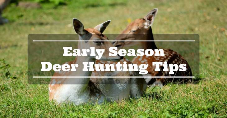 Early-Season Deer Hunting Tips