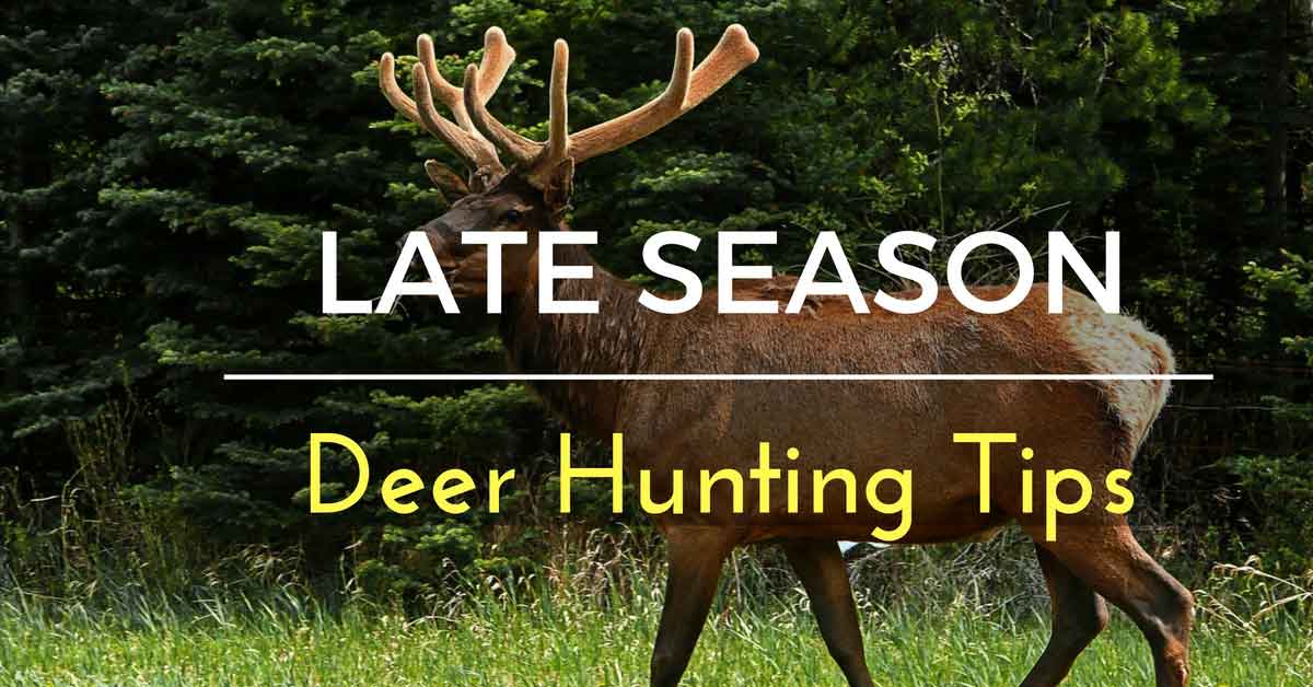 Late Season Deer Hunting Tips